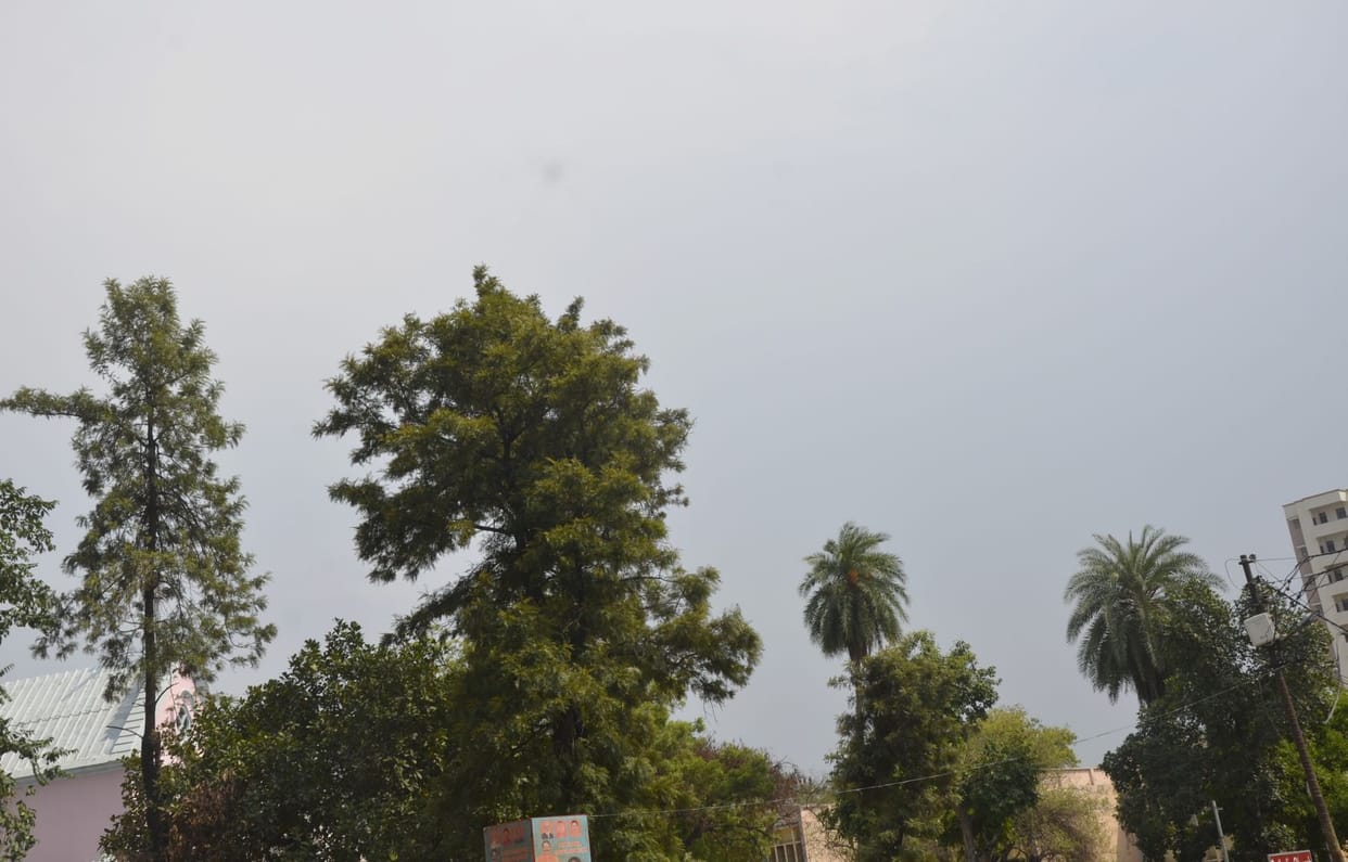 Drizzle in the city, rain in rural areas made the weather pleasant
