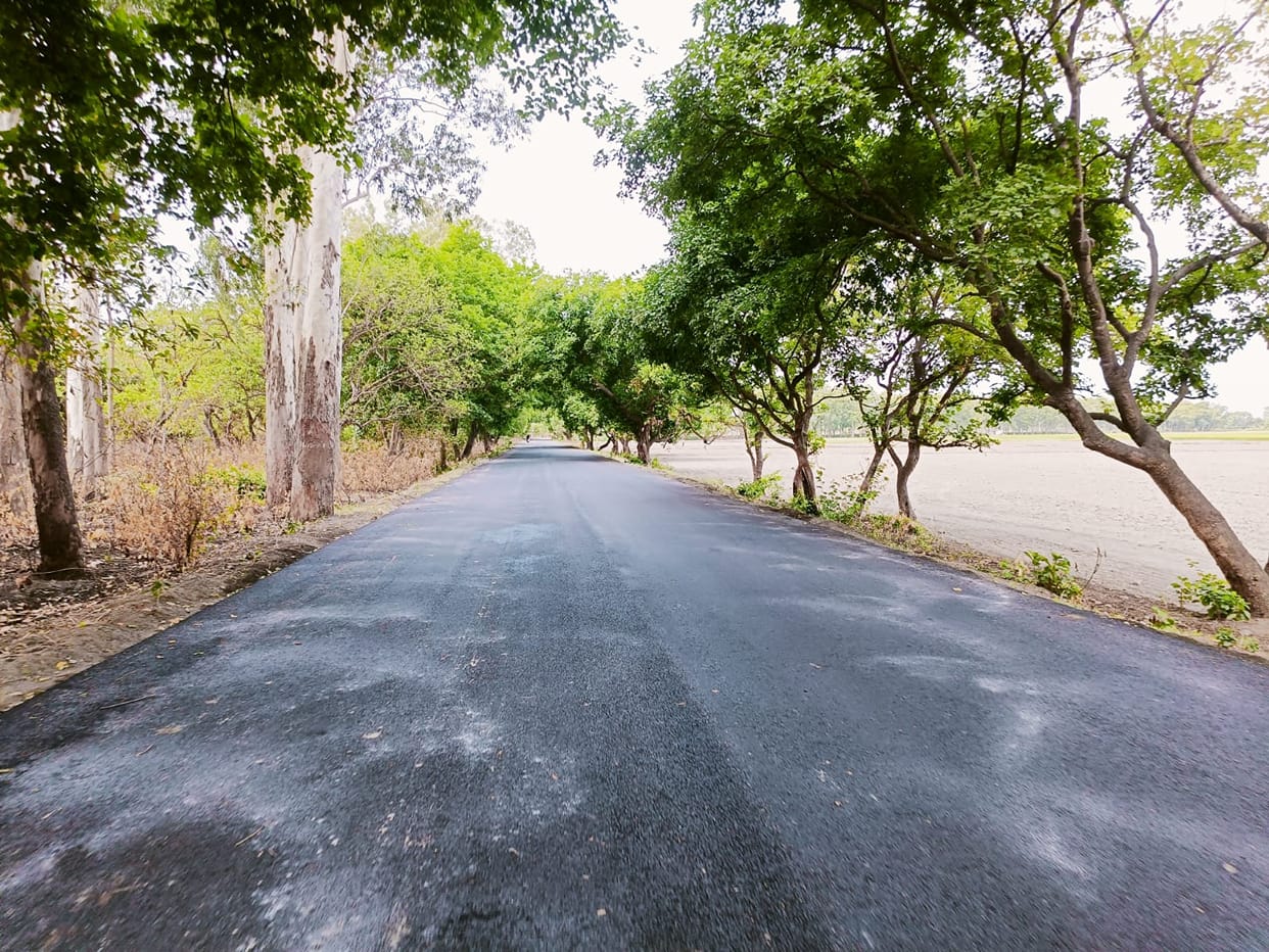The department is busy completing the work of Pilibhit-Madhotanda road before the rains