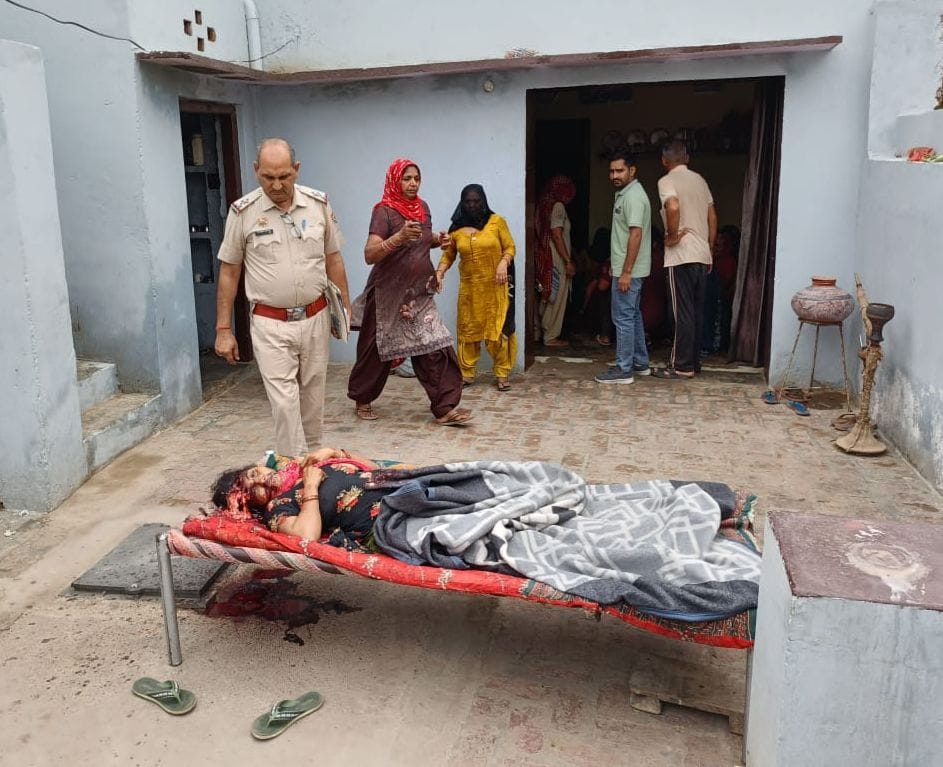 Wife sleeping at home murdered by stabbing her in the head