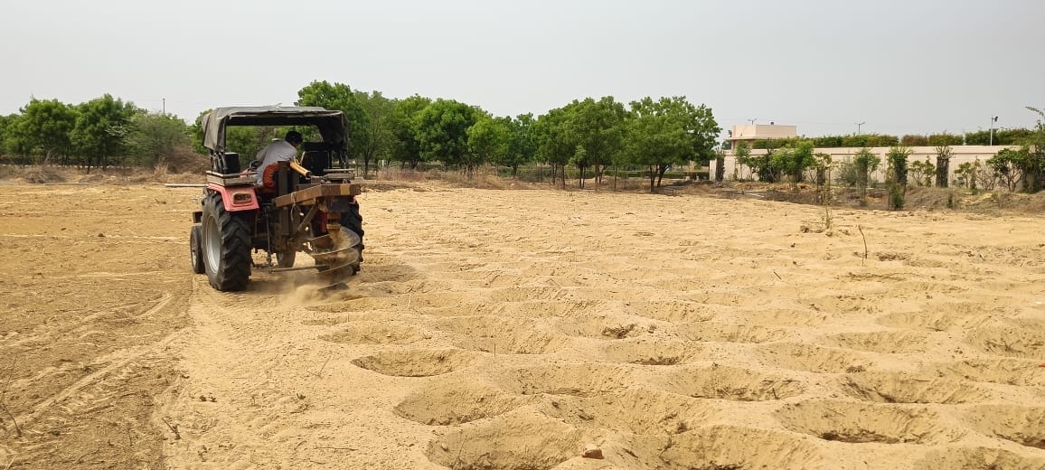 Miyawaki Forest will develop on 2.5 acres of land of Haryana Central University