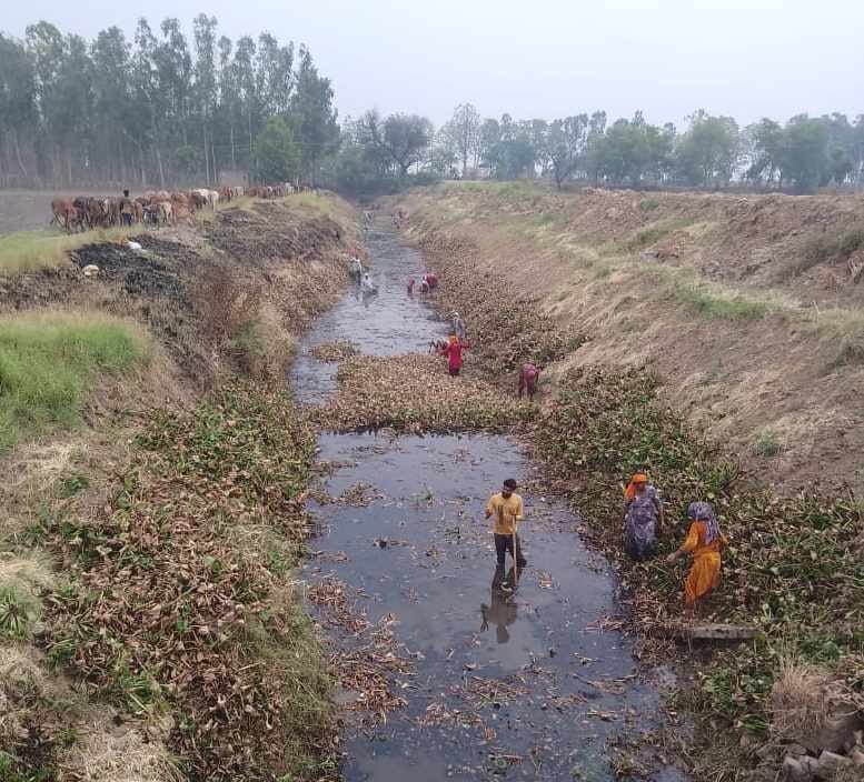 Officers entered the field, 95 percent cleaning of Rangoi drain completed