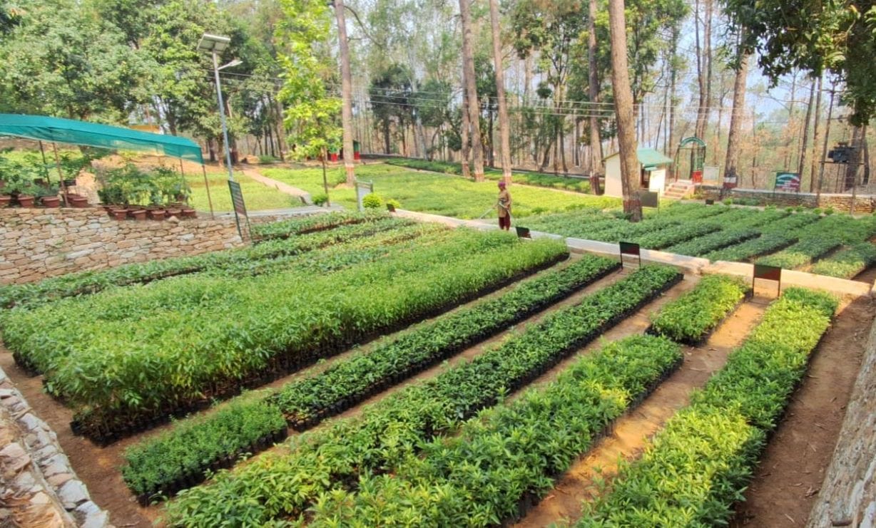 Climate change affects plant germination, change affects the structure of plant communities News In Hindi