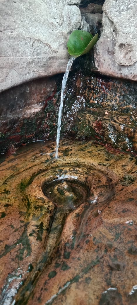 Damoh News stream of water anoints Jharkhandi Mahadev for 12 months