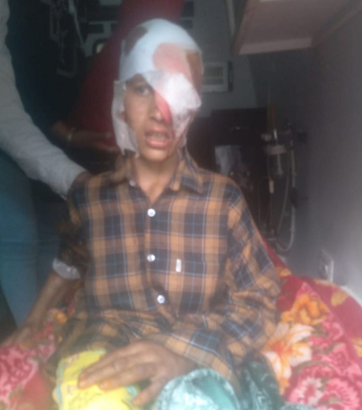 Girl seriously injured in bear attack, referred to PGI