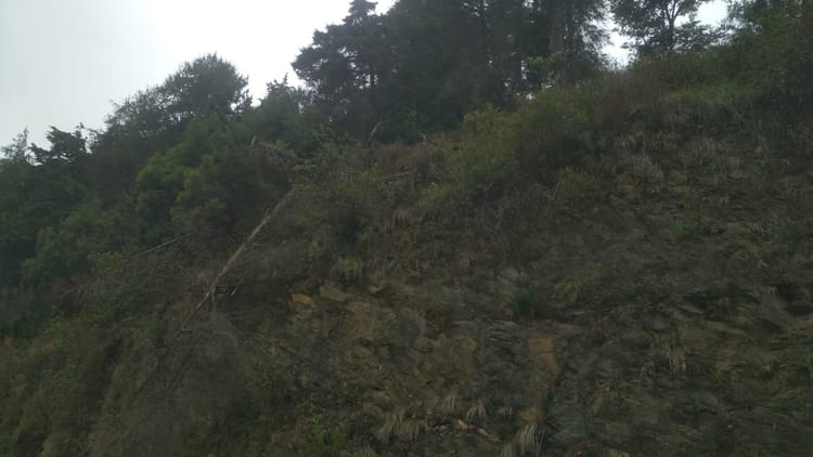 Uttarkashi News: जसपुर सिल्याण मोटर मार्ग के पास पहाड़ी से गिरा 23 साल का युवक, दर्दनाक मौत