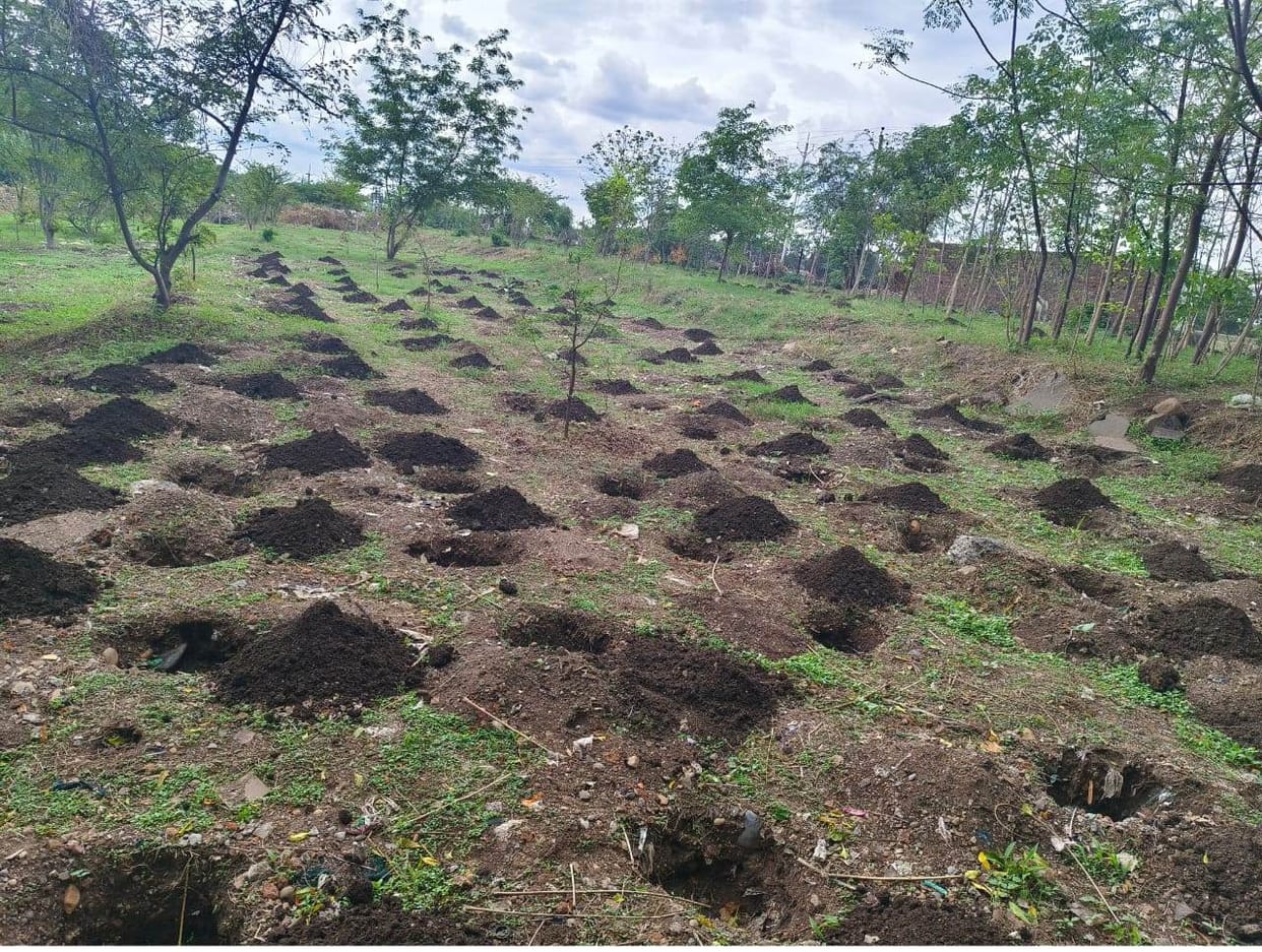 Today, 1 lakh 51 thousand saplings will be planted in Khargone in one day