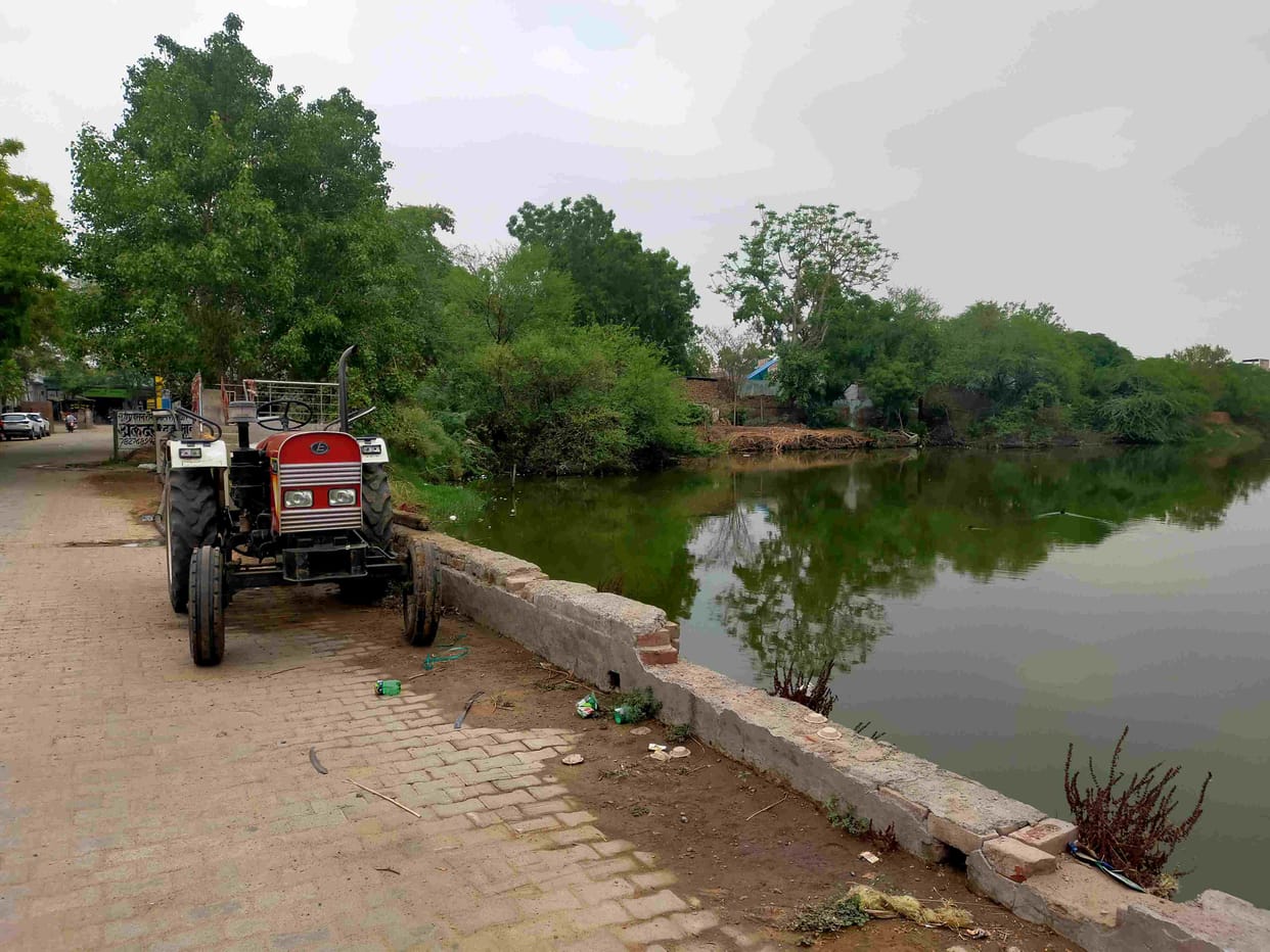 Delhi: Delhi's water bodies suffocated due to pollution