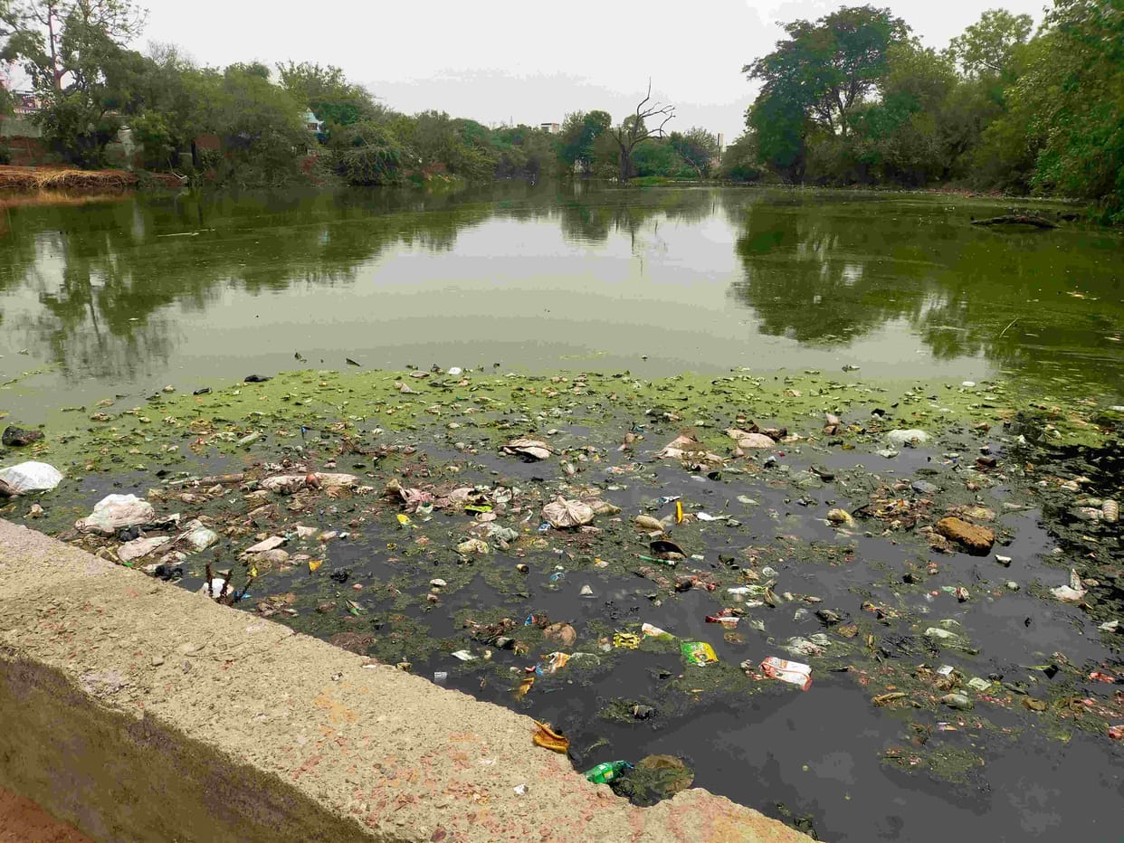 Two ponds of dirty water will be cleaned at a cost of Rs 33 lakh.