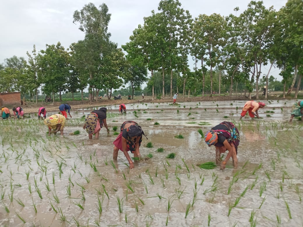Farmers got a big gift in the TN budget, paddy production will increase with special package of Rs 102 crore.