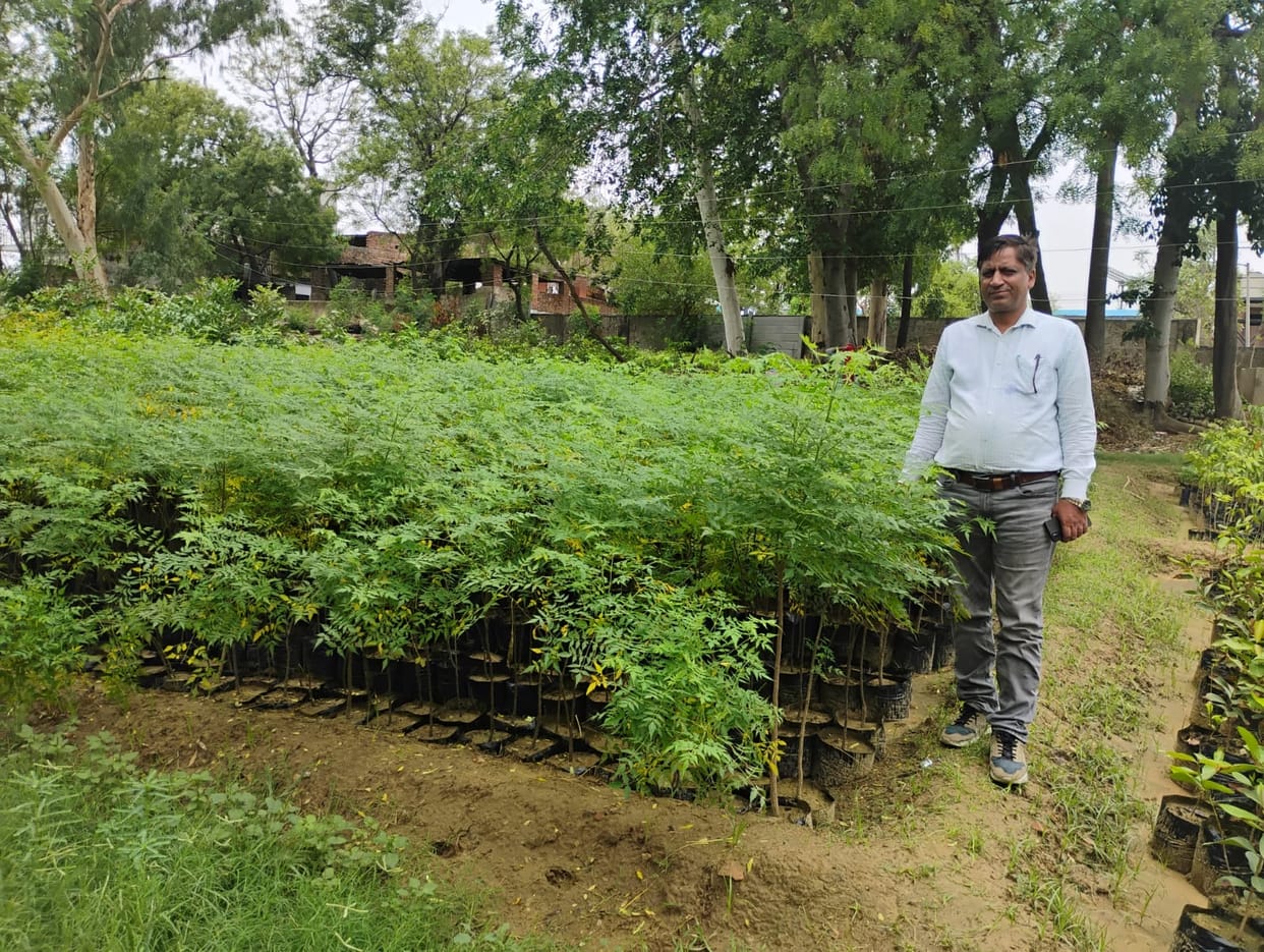 Bawal will be green with 90 thousand plants