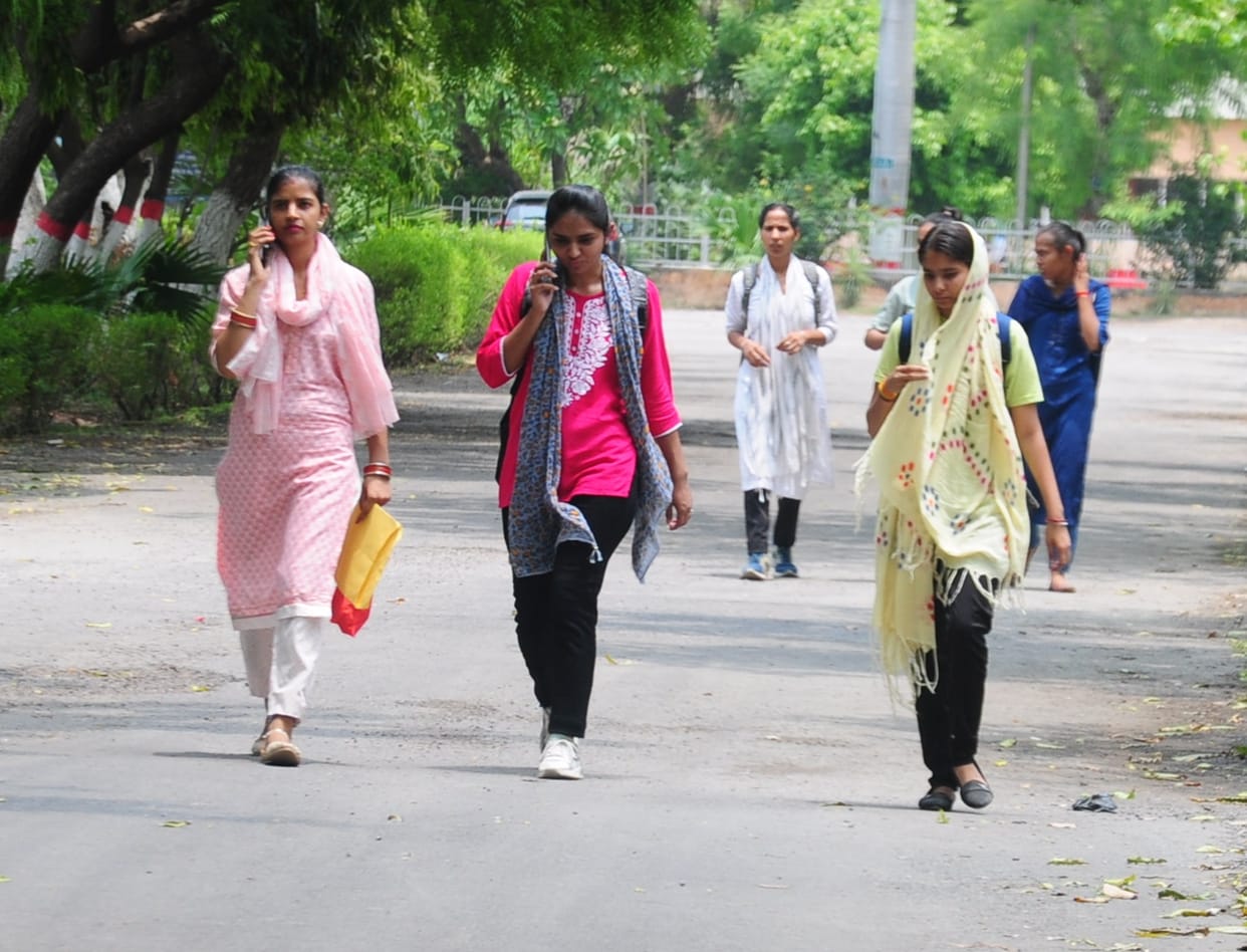 14446 students applied for PG, LLB and B.P.Ed courses of MDU