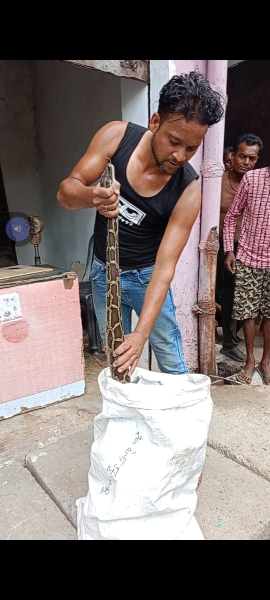 There was chaos after seeing the python inside the shop