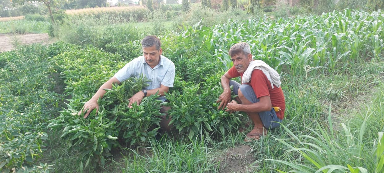 Raghuveer Singh of Lower Badhera is strengthening the economy through agriculture and animal husbandry.