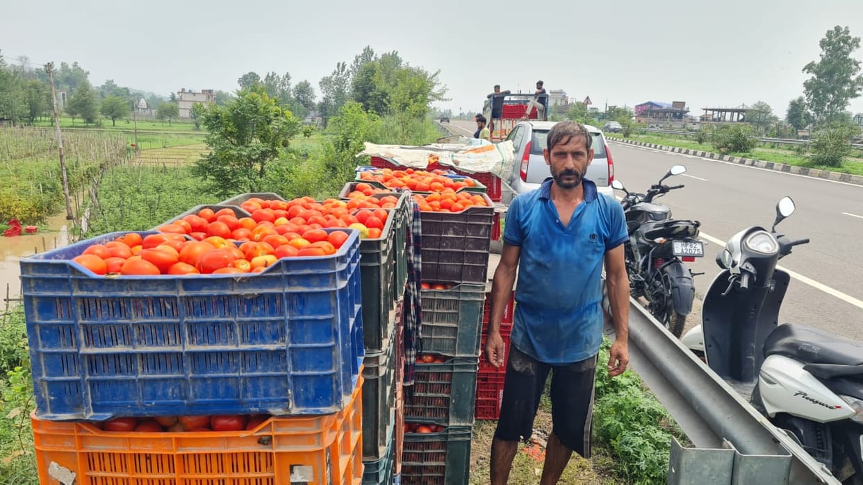 Tomato prices ease in coming weeks in delhi after supplies from Andhra pradesh Karnataka