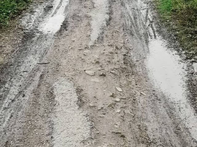 Demand for asphalting of Tadigaon-Ravalgaon motor road