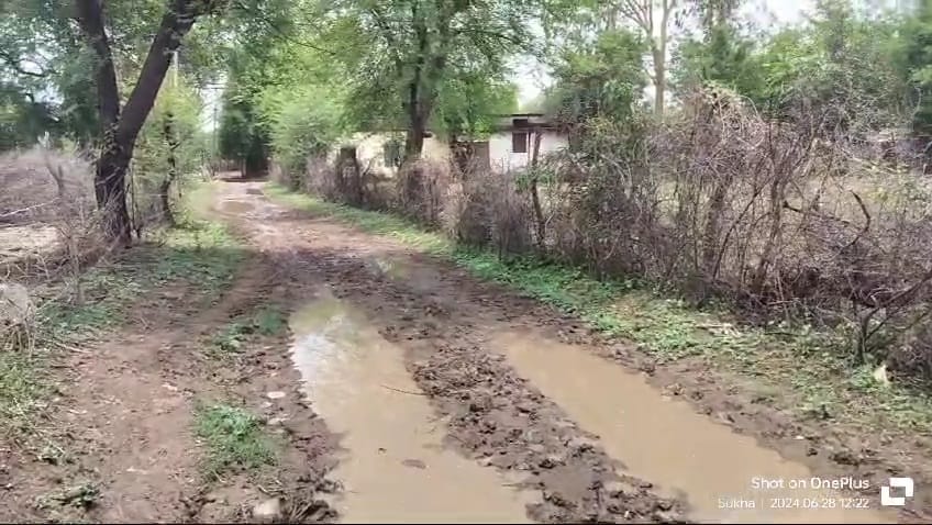 Damoh News Children forced to go to school through mud principal says corresponded with officer several times