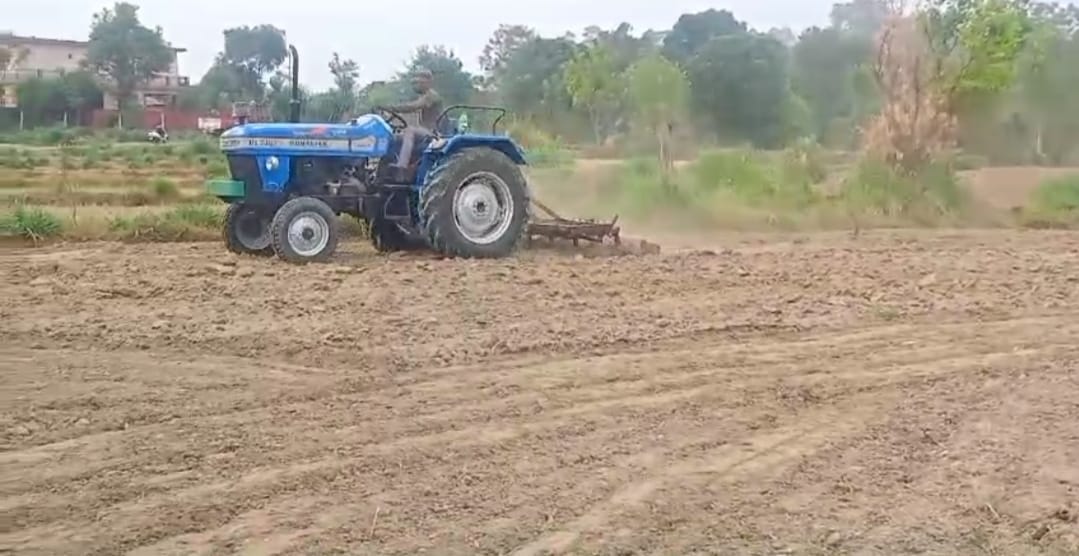 Traditional maize sowing also starts with the rains