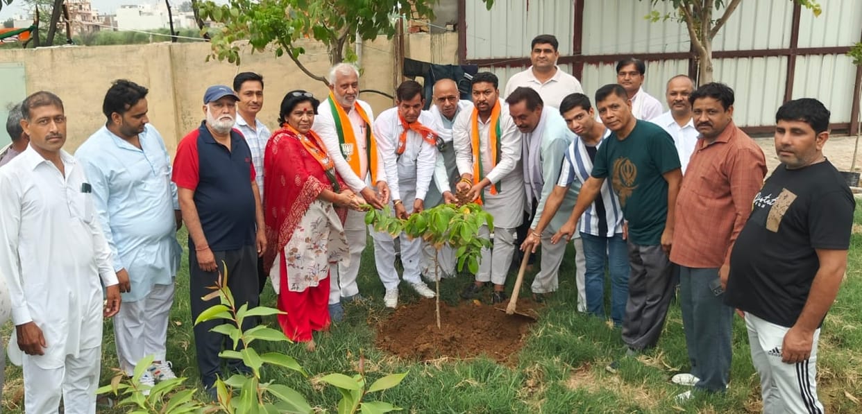 Launch of a campaign in the name of a tree mother