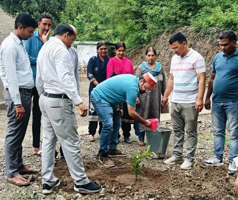 200 plants planted around Amrit Sarovar