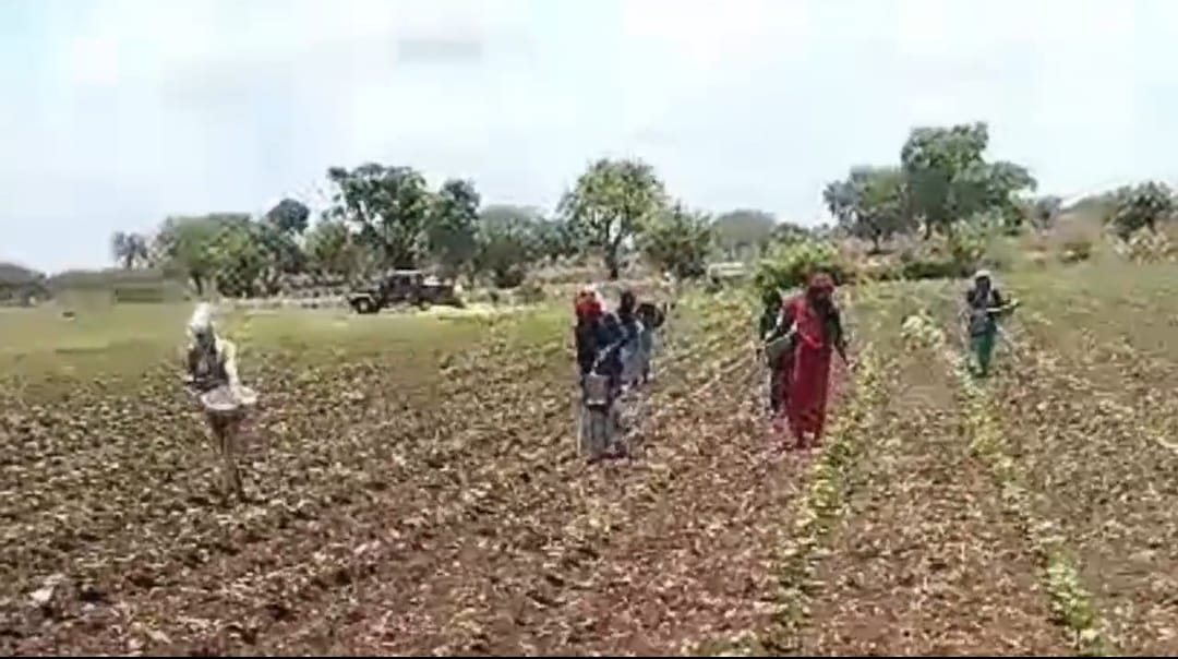 खेती को लेकर बजट में किए हैं विशेष प्रावधान