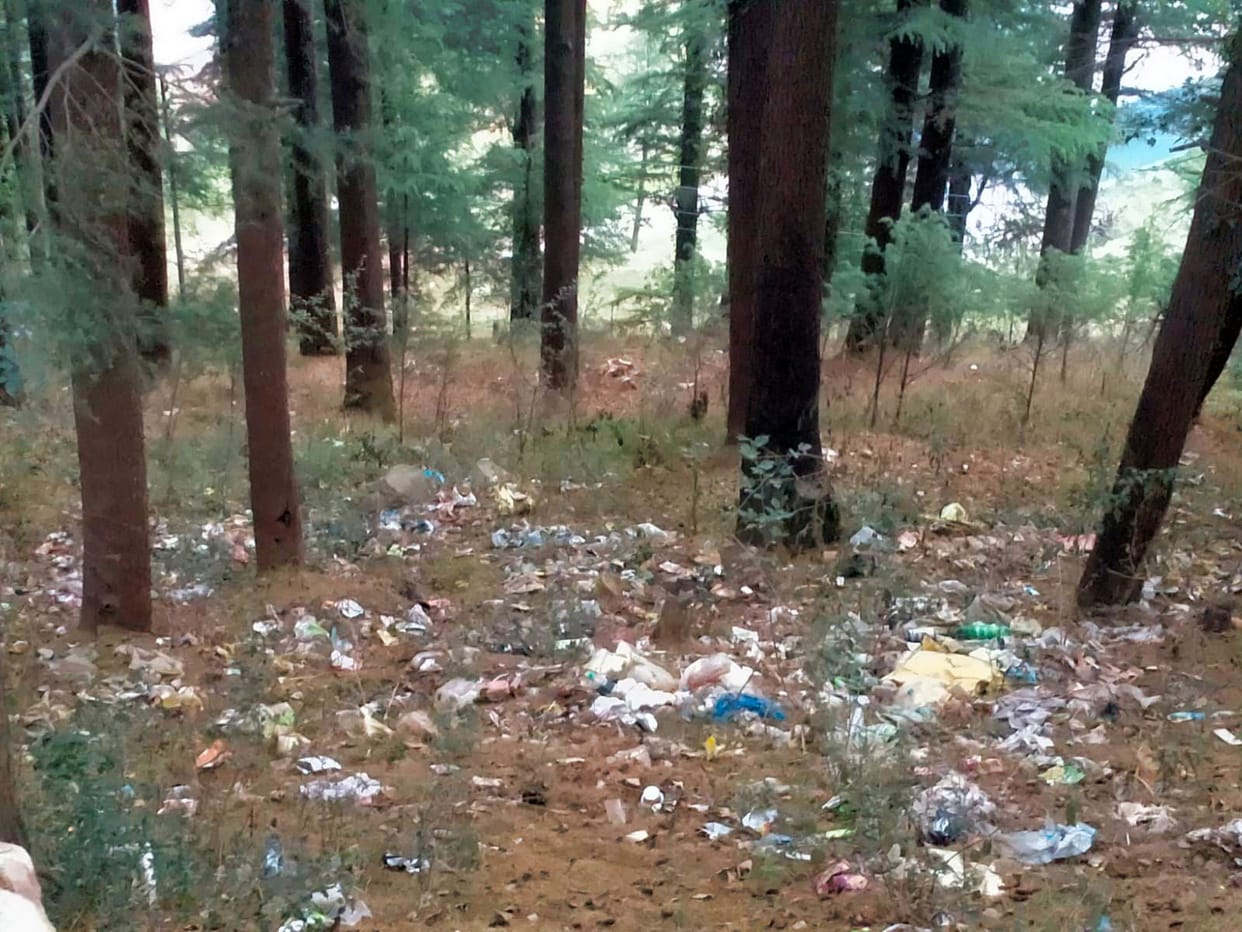 Deodar forest was turned into a garbage dump