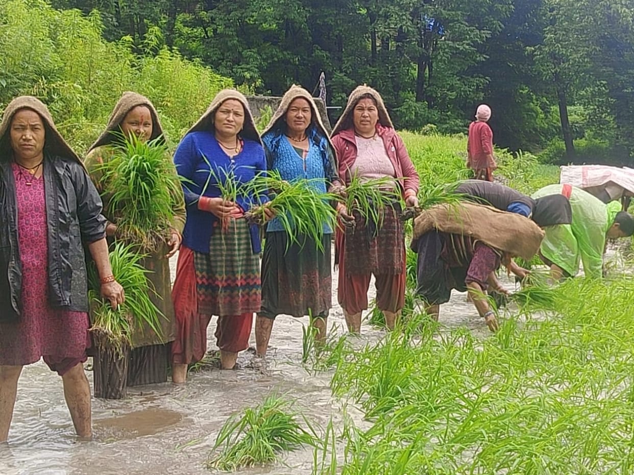 Women engaged in planting in Bothi village