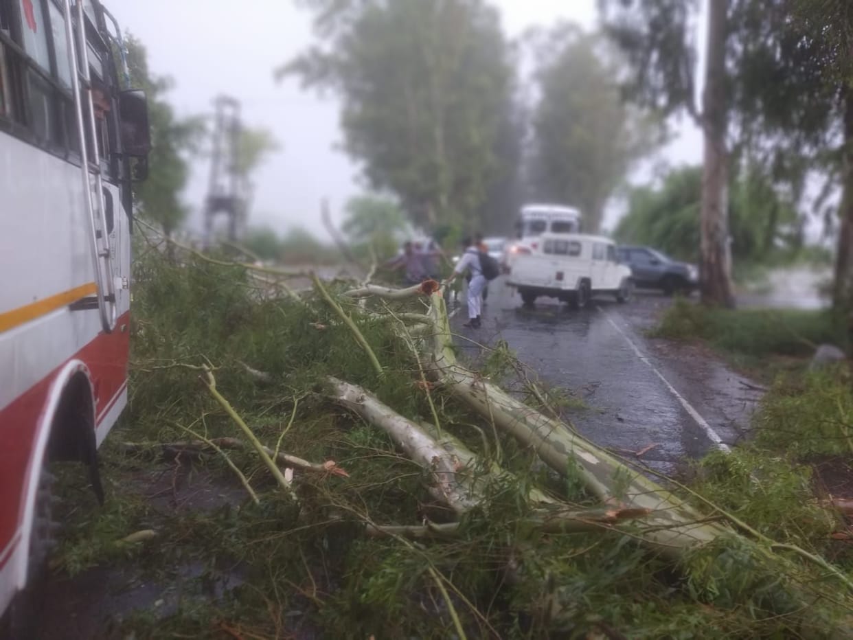 Relief from rain, wind increased trouble