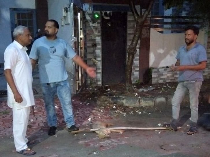 Jackal reached South City Colony, chased children