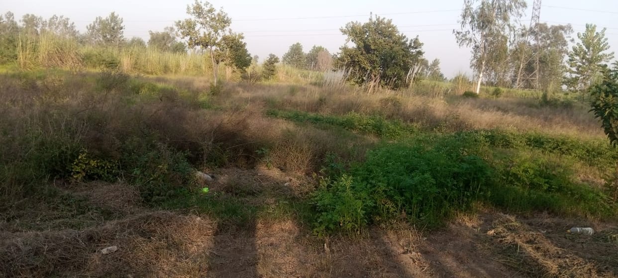 Construction of 50th Corps PAC, firing range will start in August