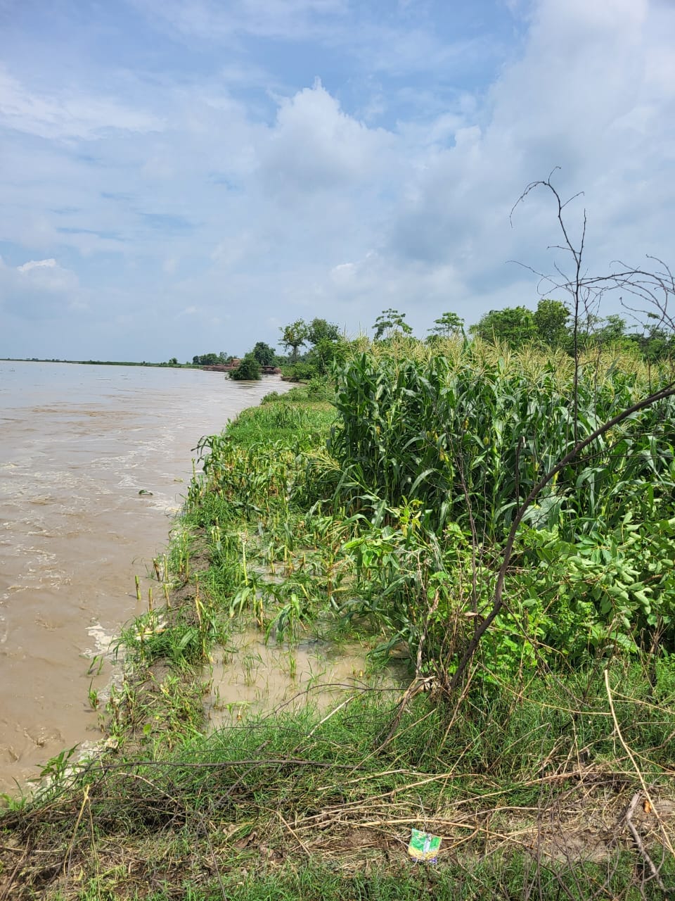 Crops drowned...people of Dhobiana moved towards safe place