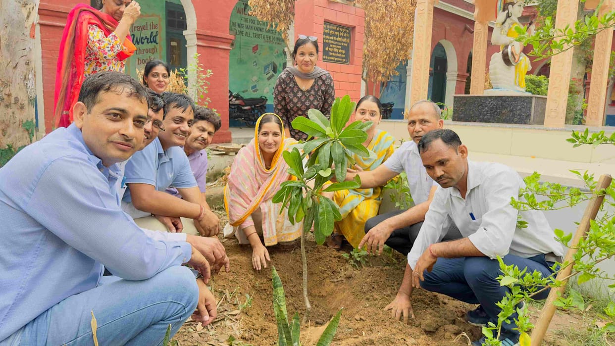 Plantation of saplings in Government Model Sanskriti Senior Secondary School