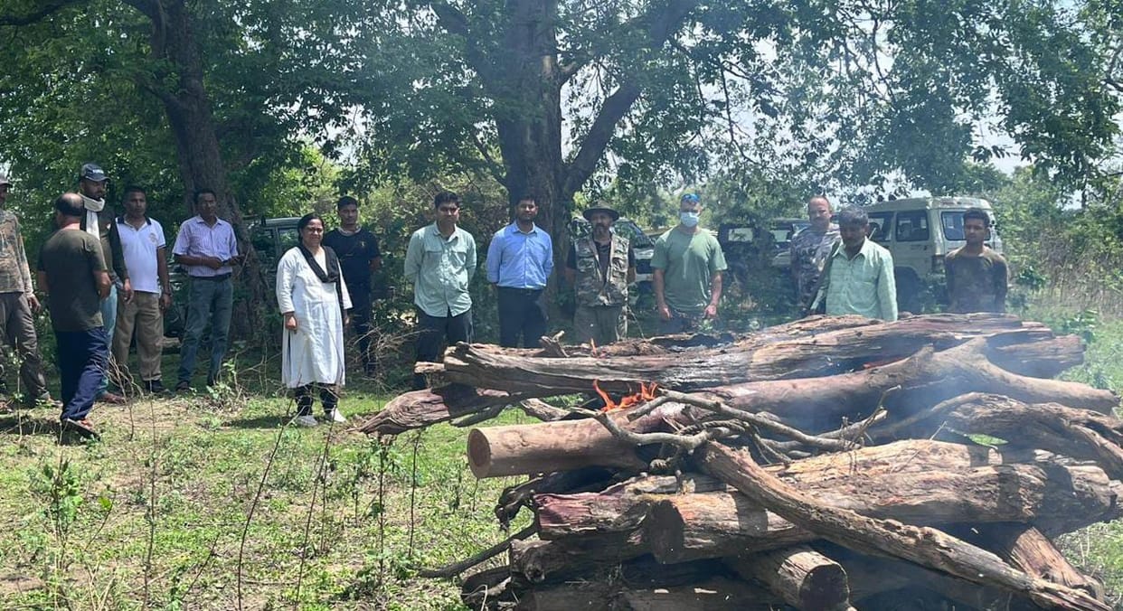 The body of a tigress was found in Kalagarh range