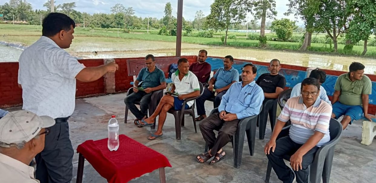 Before planting sugarcane seeds, they must be treated.