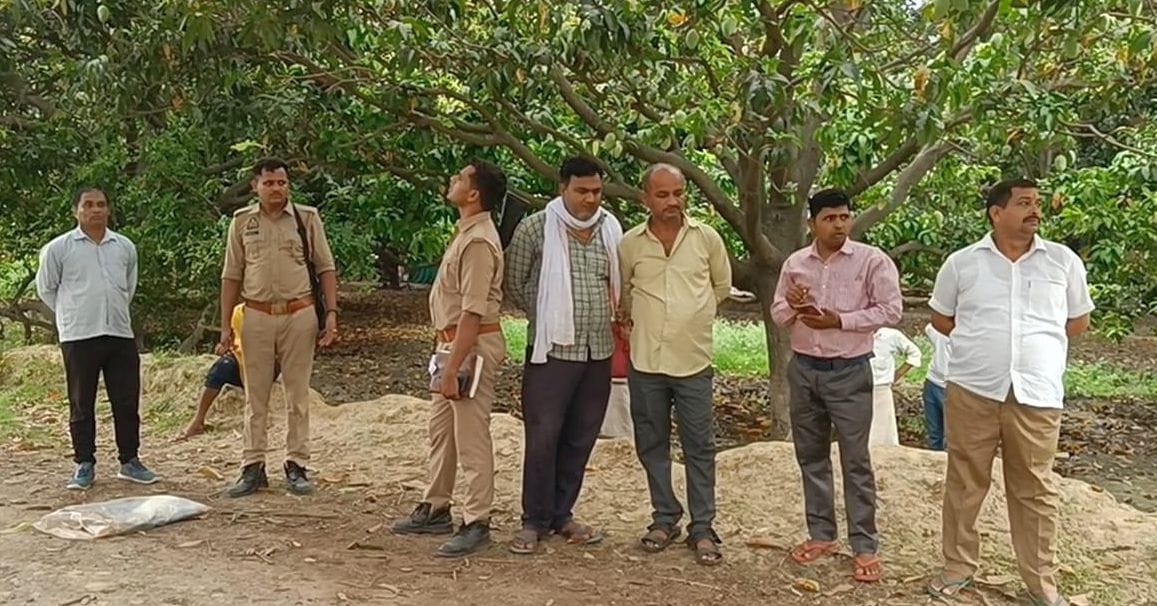 Laborer crushed under tractor wheels due to greed for mangoes, dies
