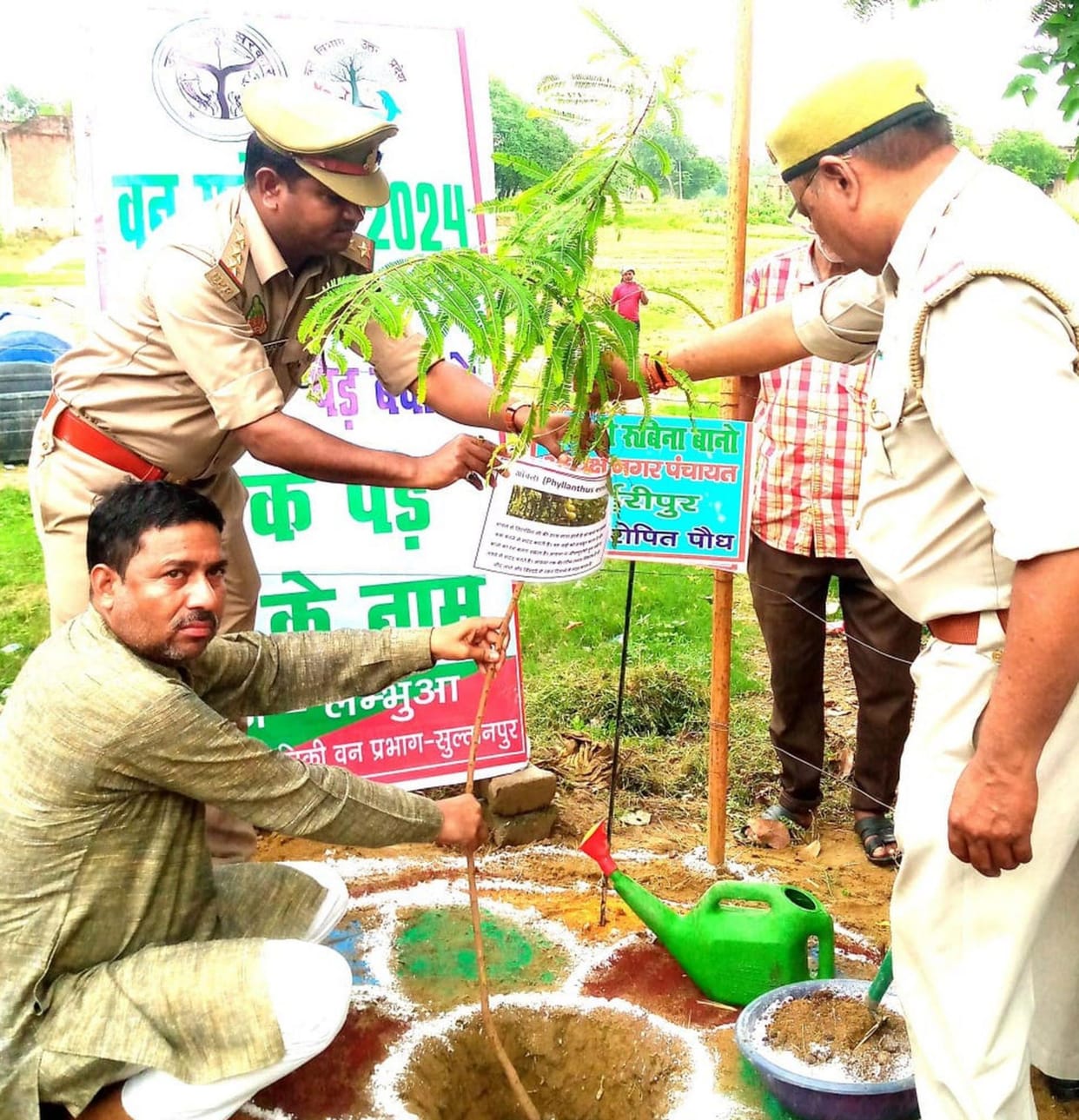 Planted trees for environmental protection