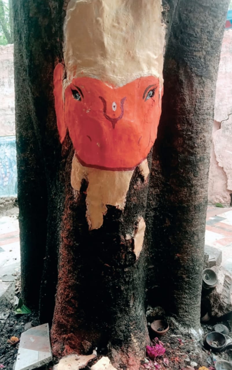 Ujjain Anti-social element damaged statue of Pipleshwar Ganesh police did not arrive after getting information