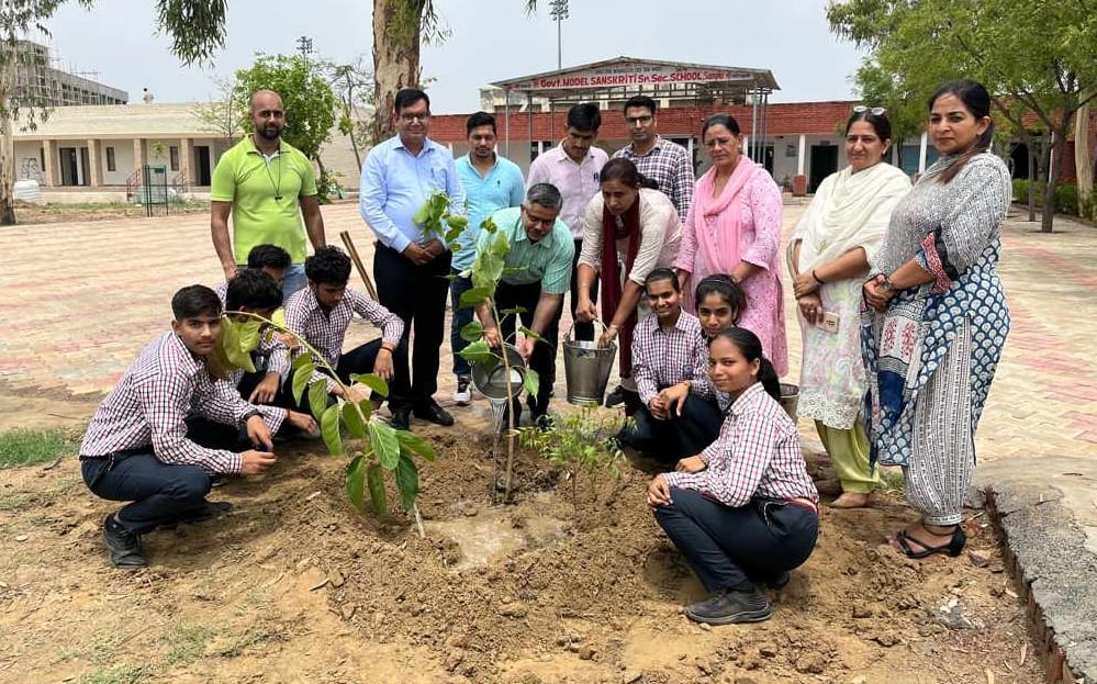 Triveni organized in government school of Sampla