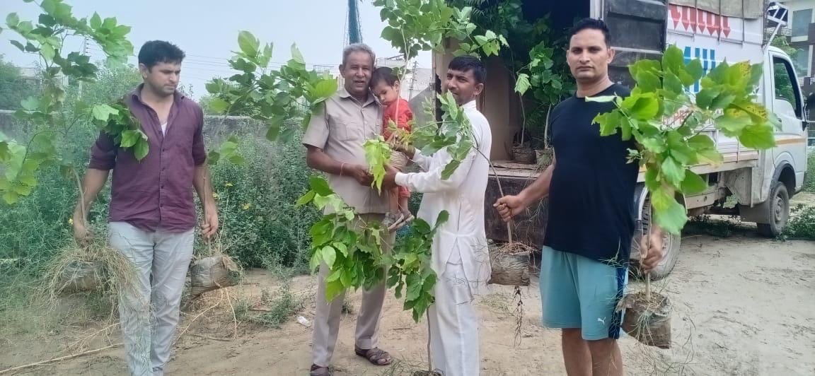 Darakht Foundation distributed 150 saplings