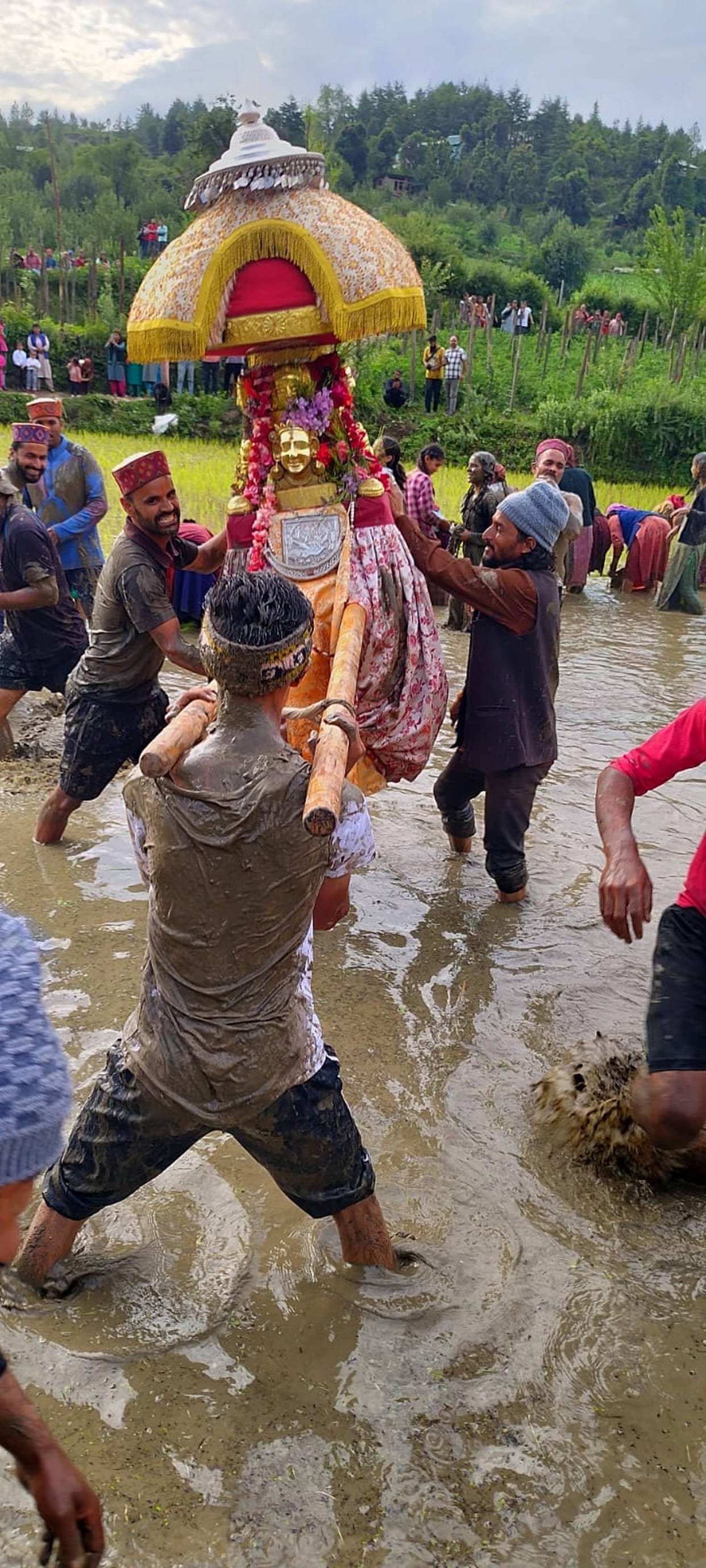 Planting of paddy in honor of Dev Pandir Rishi