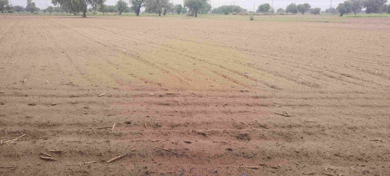 Chance of rain till eight, farmers should not sow millet