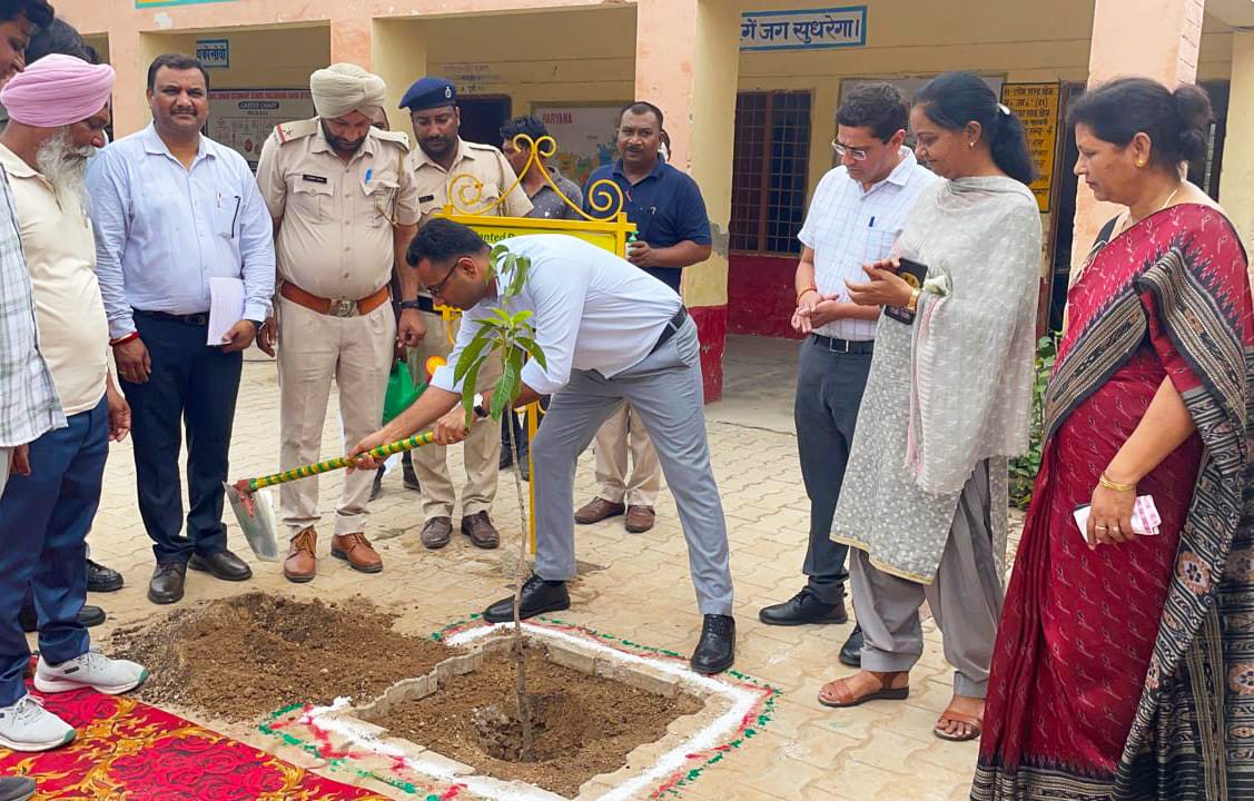 Plantation campaign starts, 12 lakh saplings will be planted