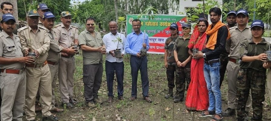 Villagers planted saplings with forest workers