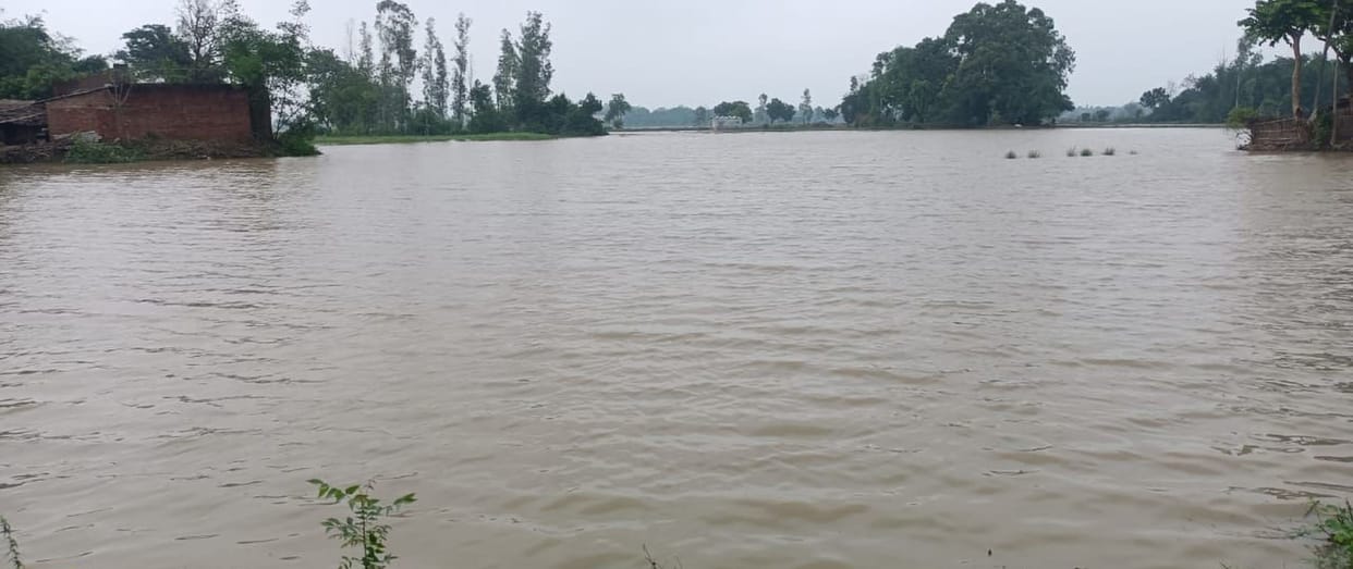 Crossroads and offices become reservoirs due to heavy rains