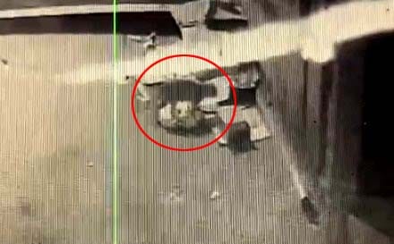 Leopard seen in Manki and Hashimpura, panic in villagers