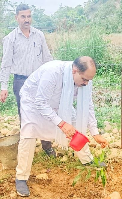 One tree in the name of mother scheme launched