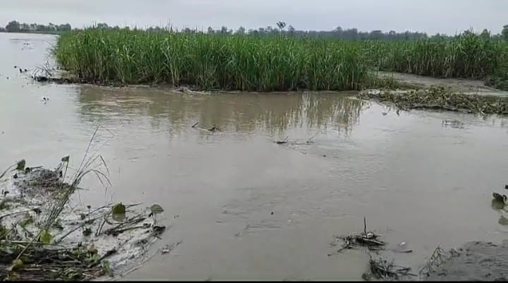 More than 1.5 lakh cusecs of water released into Sharda river, fear of flood