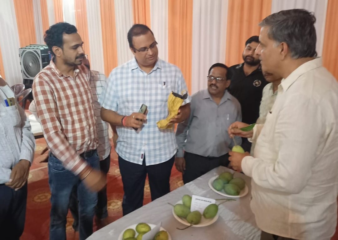 Mango Festival