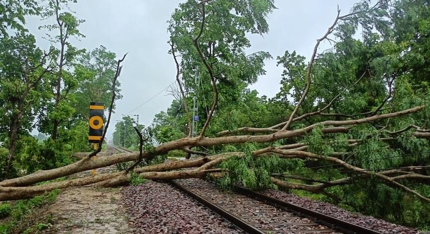 Trees fell on the track, traffic between Malani-Bankeganj remained halted for eight hours