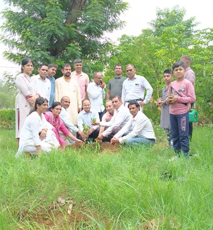 Students and teachers planted trees