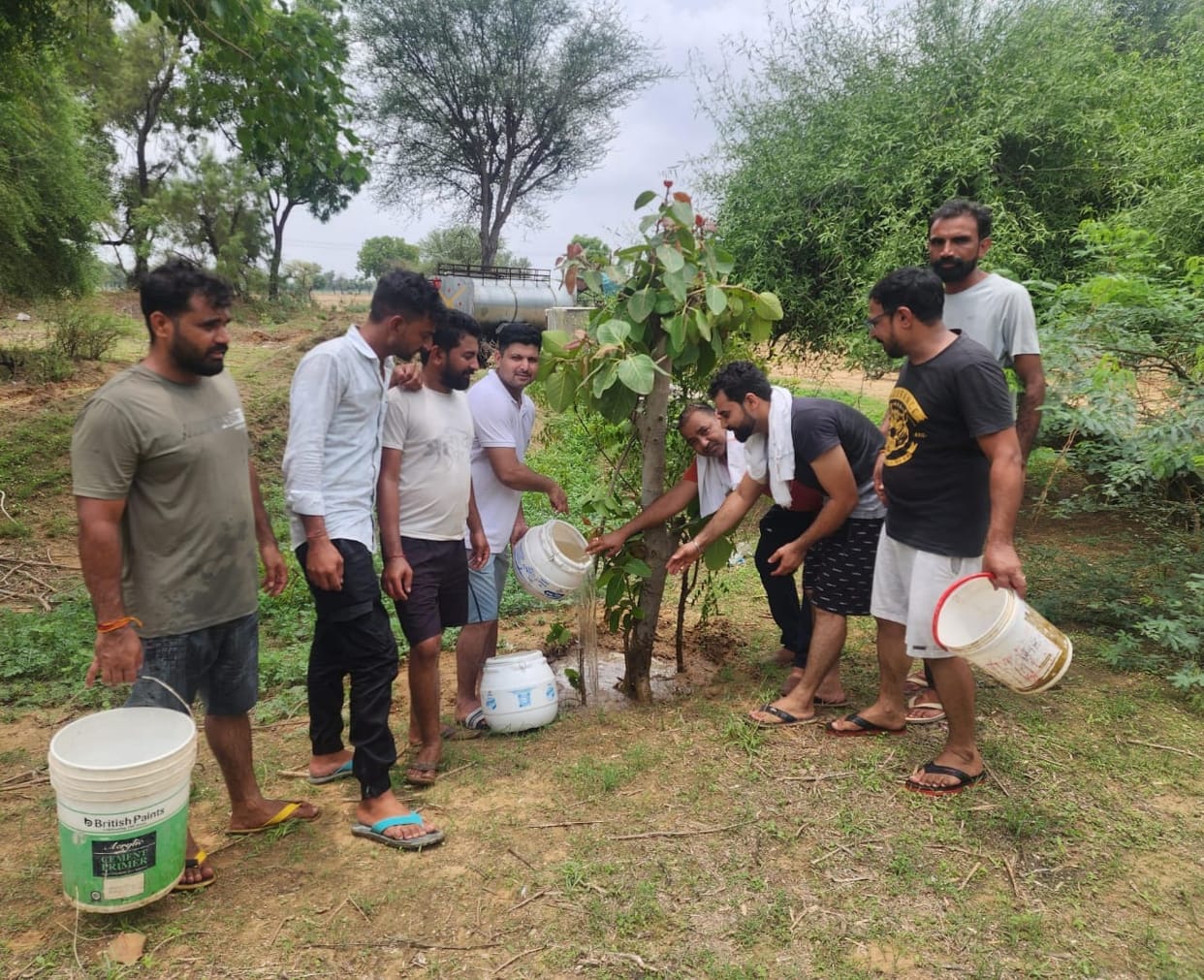 Youth organization members planted 350 saplings in village Bhagdana